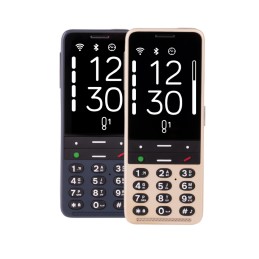 Blindshell Classico 3